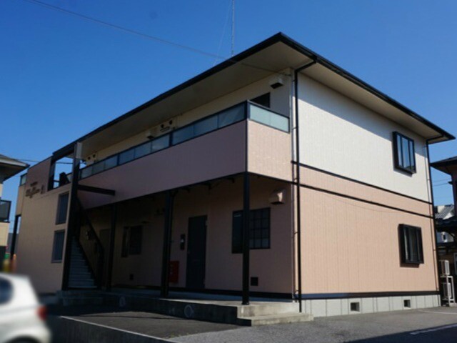 サンフラワー A