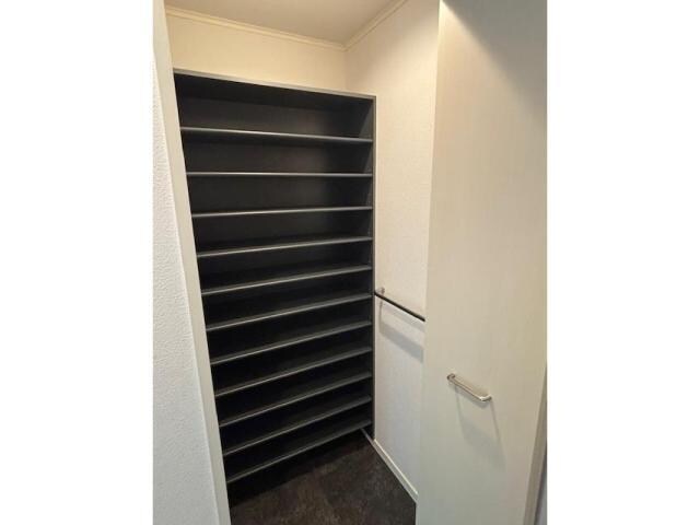 VALLEYIの収納(シューズクロゼット)