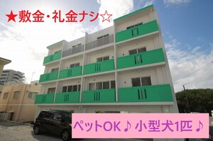 ルナリアⅡ外観写真