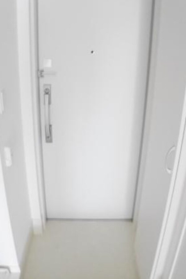 玄関(別部屋参考写真となります)