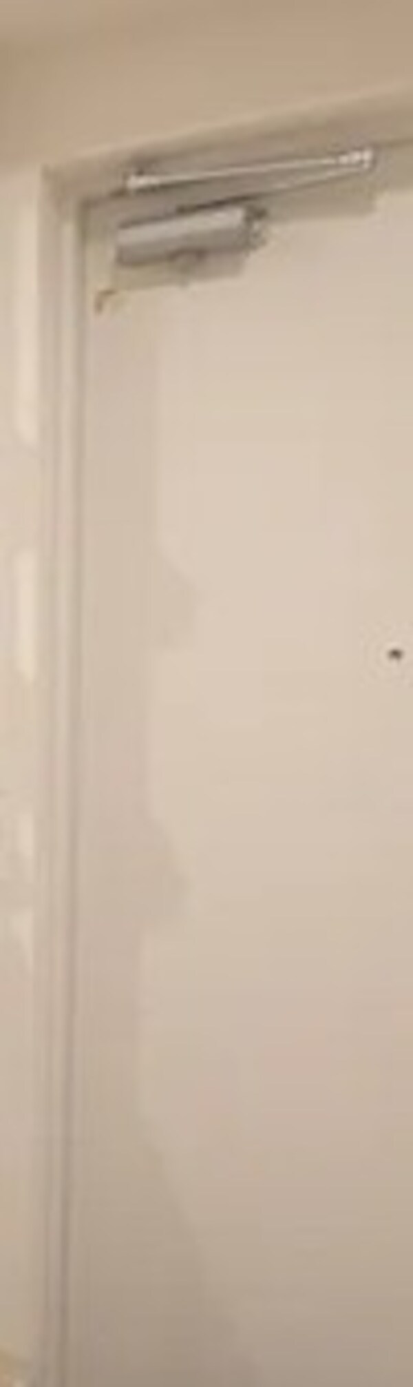 玄関(※別部屋同建物イメージ写真)