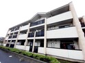 エクセラン　フルール　さくら