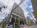 パラゴン梅南