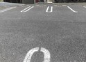 ウィステリア