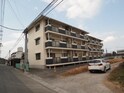 くすの木21