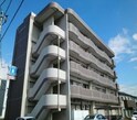 高染IX館