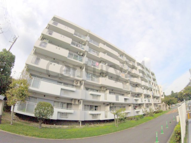 アルビス寺本1号棟