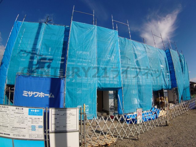 ベルリード稲