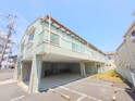 シエテ山田