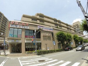 シティハイツ逆瀬川（アピア3）外観写真