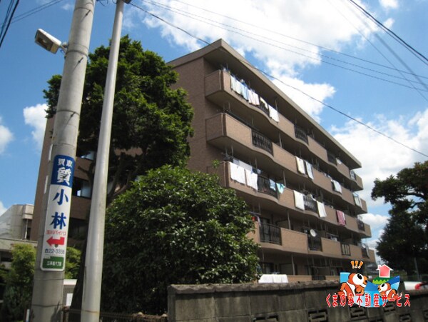 外観(外観です)