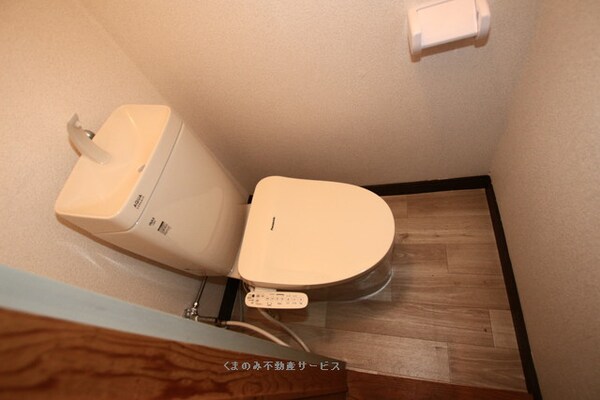 トイレ(落ち着いた色調のトイレです
メゾン三芳201号室　2024年)