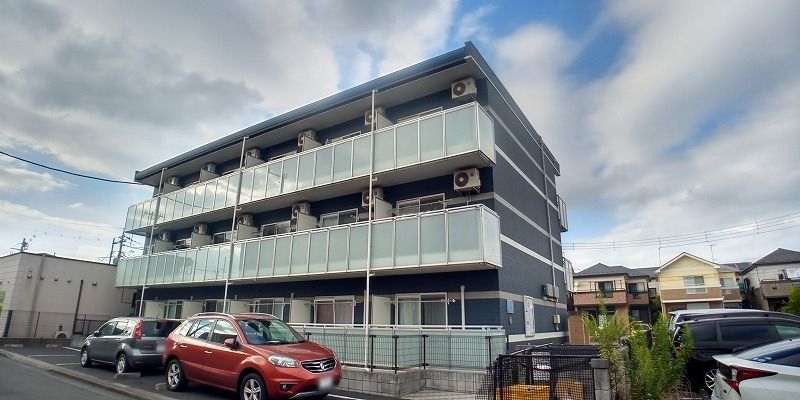 レオネクストヒマワリ