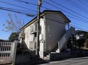 アムールPino