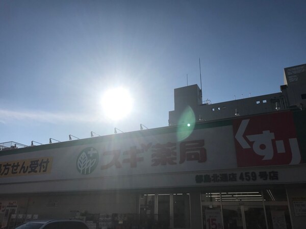 周辺環境(スギ薬局都島北通店 255m)