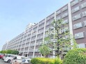 ルネ東林間A号棟