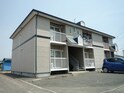 パミドール