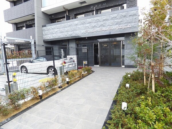 庭