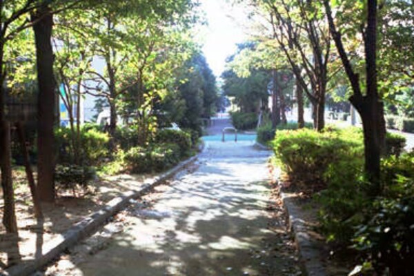 周辺環境(江尻川緑道（265m）)