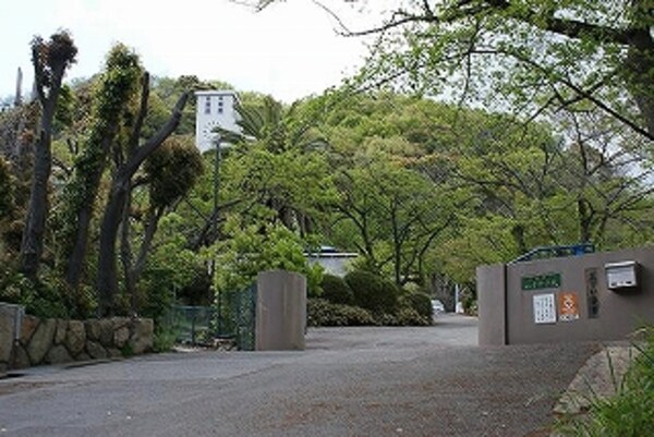 周辺環境(山手中学校（1200m）)