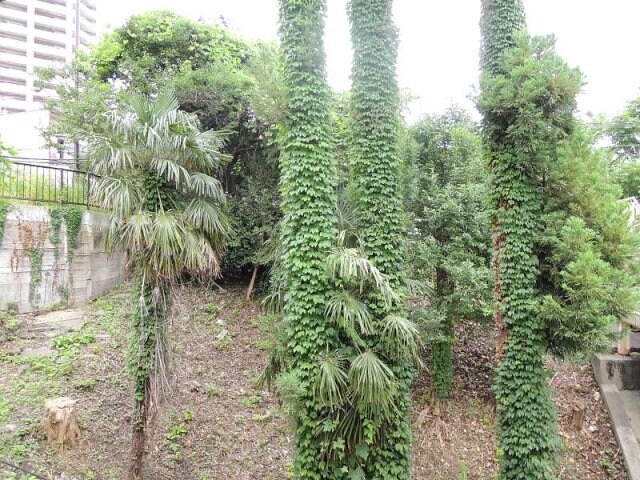 物件内観写真24　