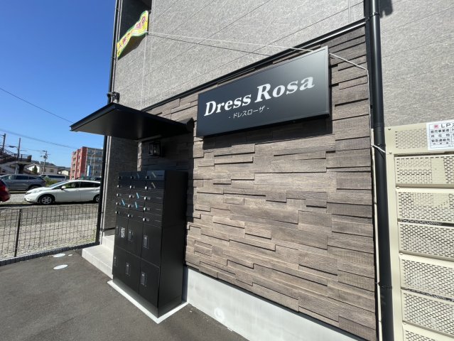 ドレスローザ