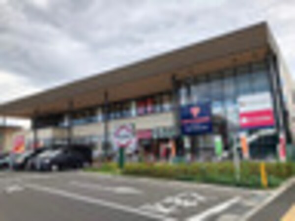 周辺環境(ツルハドラッグ 仙台太子堂店 870m)