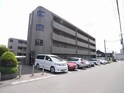 シェモア泉中央