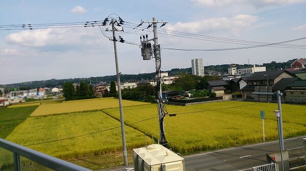 眺望(※イメージ)