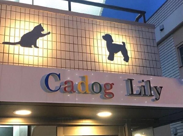 外観