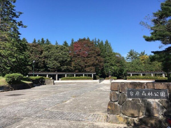 周辺環境(台原森林公園（台原入口）)