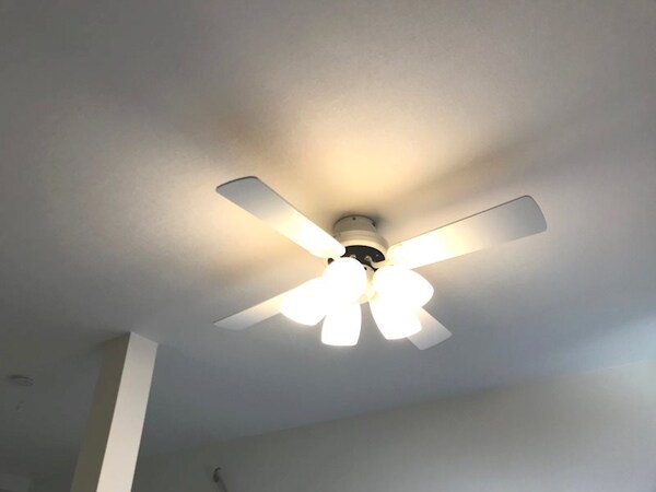 建物設備(※同タイプのお部屋の写真になります。)