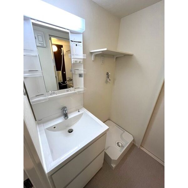 洗面・脱衣所(※同じシリーズの室内写真)