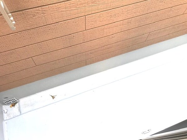 バルコニー(※同シリーズのお部屋の写真です。)