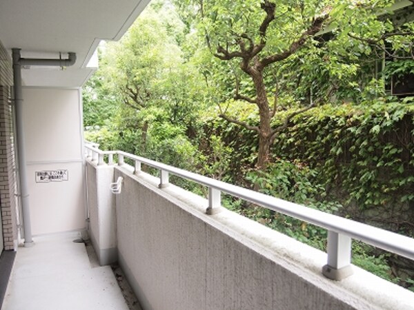 バルコニー(別部屋参考写真)