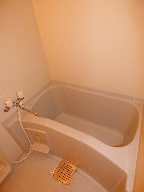 物件内観写真11　(シャワー付きバスルーム)