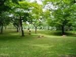 物件外観写真6　(住吉公園（220m）)