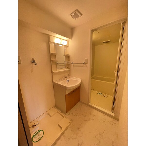 物件内観写真11　(シャンプードレッサー)