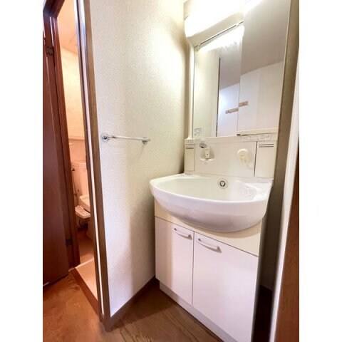 物件内観写真10　(シャンプードレッサー付)