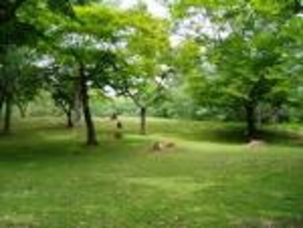 周辺環境(山王公園（332m）)