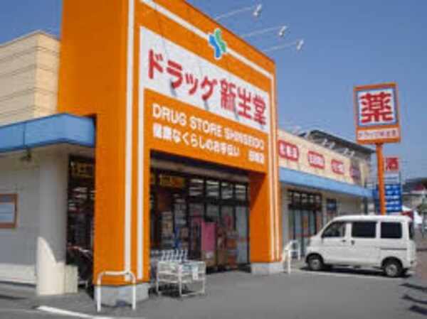 周辺環境(ドラッグ新生堂 天神南店（316m）)