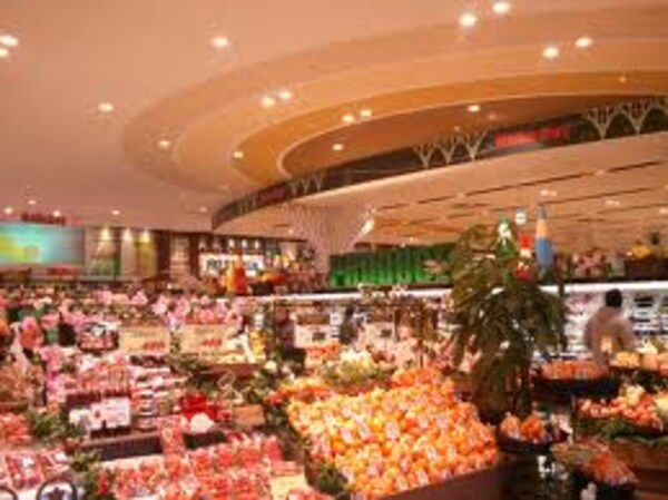 周辺環境(ハロｰデイブランチ博多パピヨンガｰデン店（254m）)