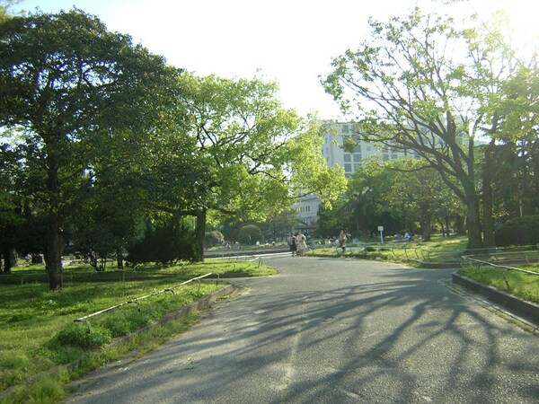 周辺環境(須崎公園も近くです☆)