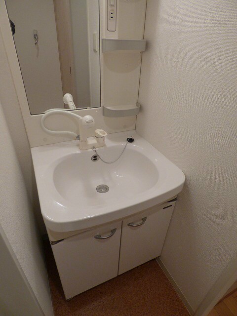 物件内観写真12　(シャンプードレッサー付き)