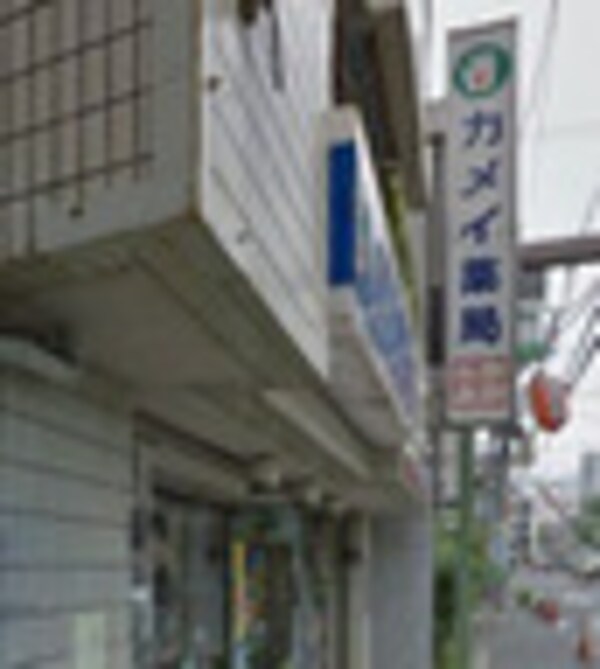 周辺環境(カメイ薬局 355m)