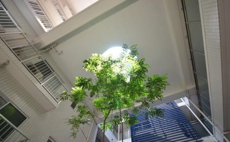 内観写真