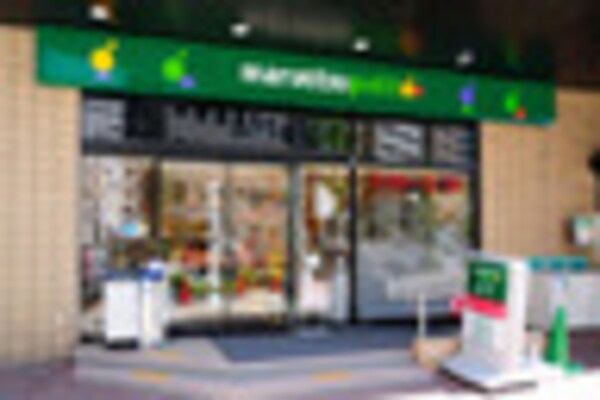 周辺環境(三菱東京UFJ銀行新富町支店 573m)