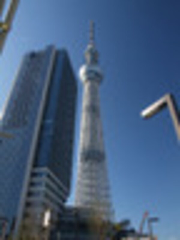 周辺環境(東京スカイツリー 974m)