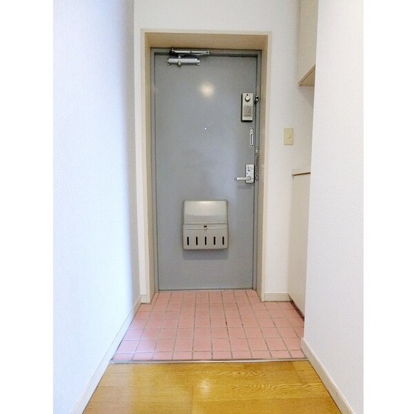 内装他