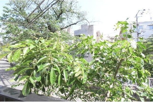 周辺環境
